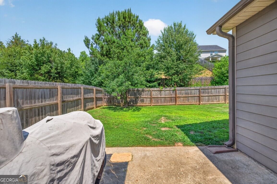 544 Amaranth Trail Hoschton - Photo 37