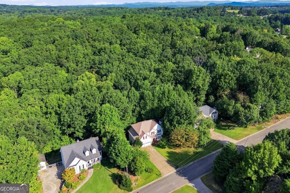136 Franklin Court Jasper - Photo 50
