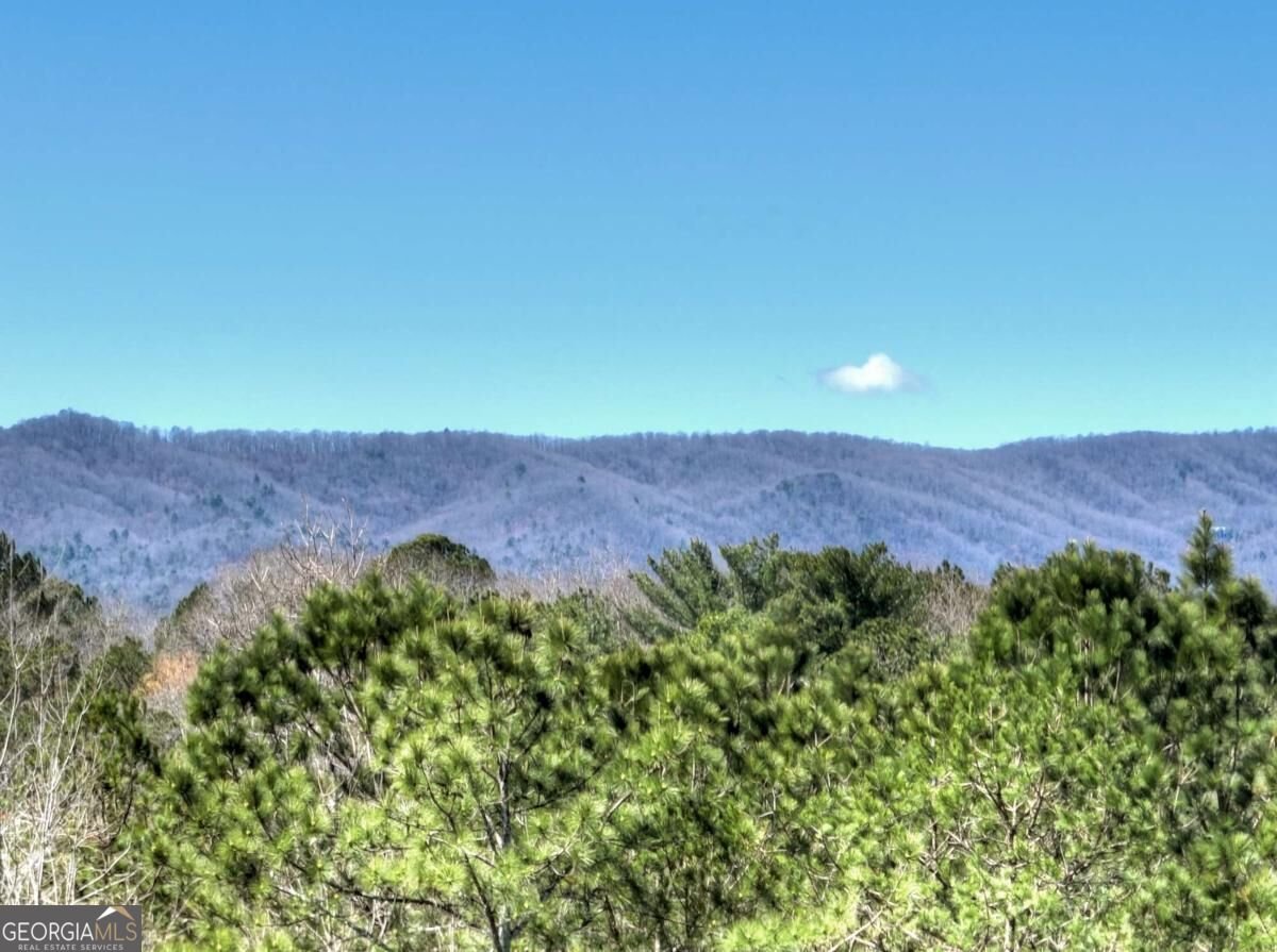 229 Crossroads Church Road Ellijay - Photo 31