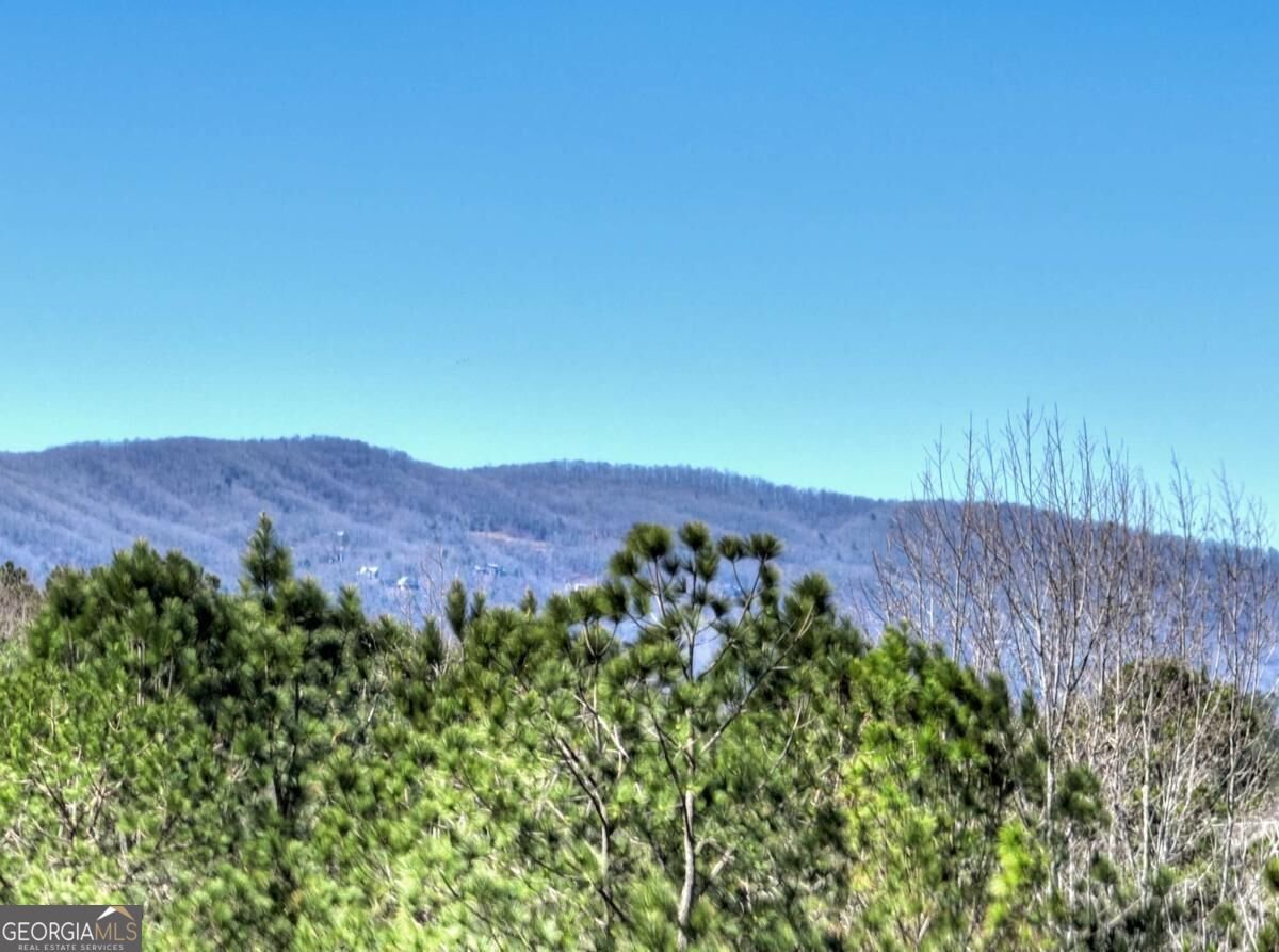 229 Crossroads Church Road Ellijay - Photo 32