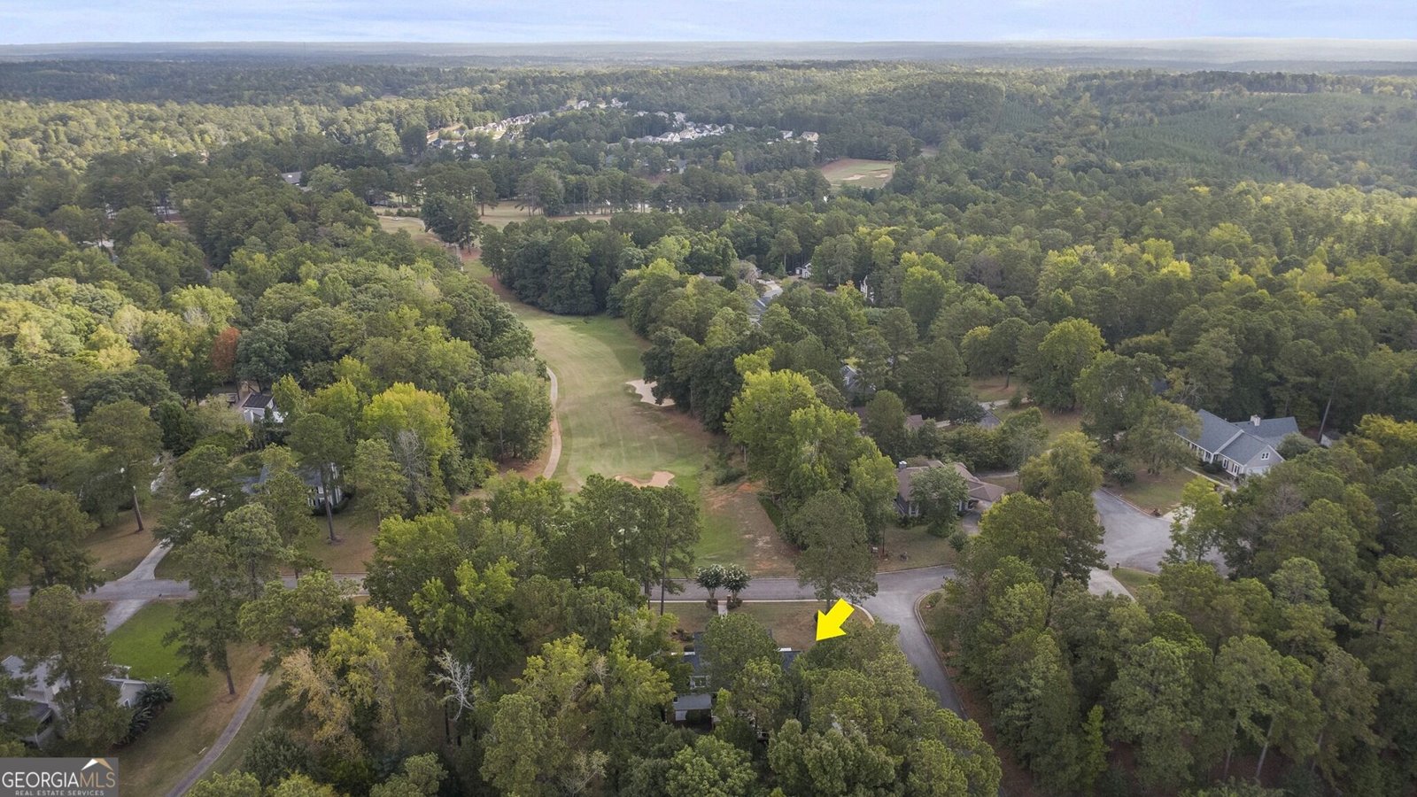 118 WIMBLEDON Lane Macon - Photo 29