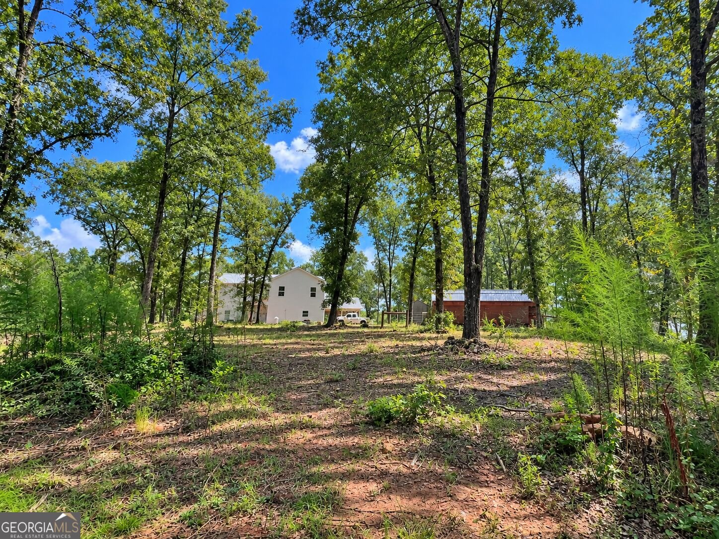 19426 GA Highway 74 Culloden - Photo 54