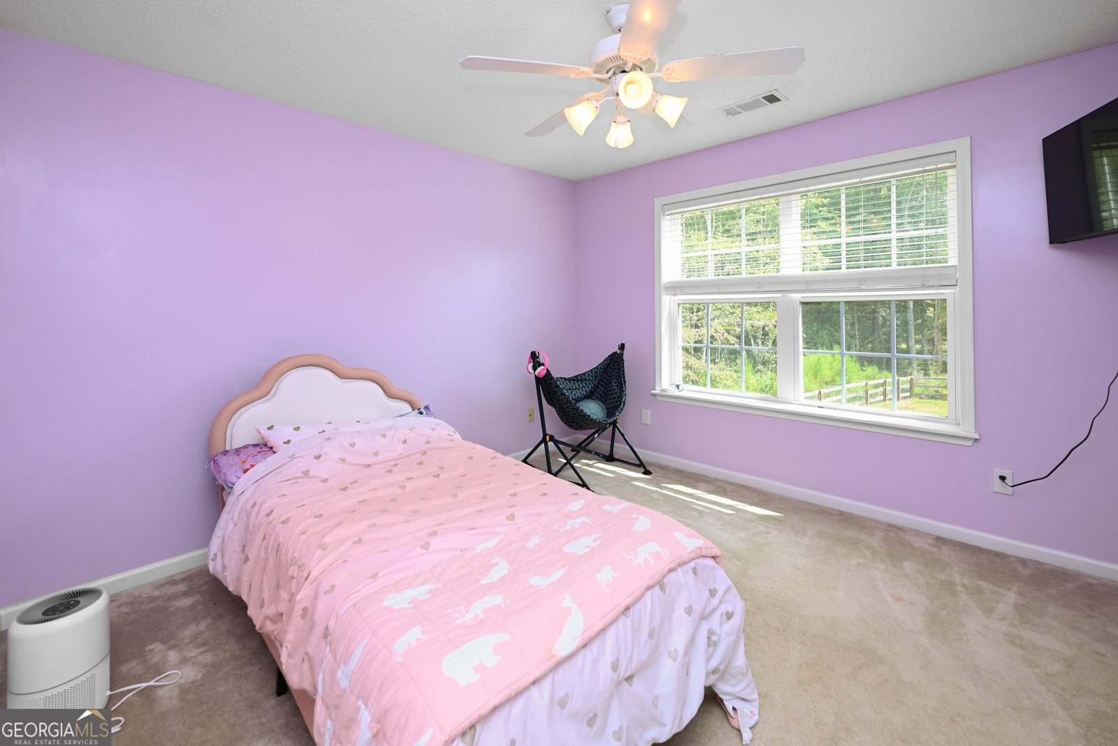 42 Meadows Lane Senoia - Photo 19