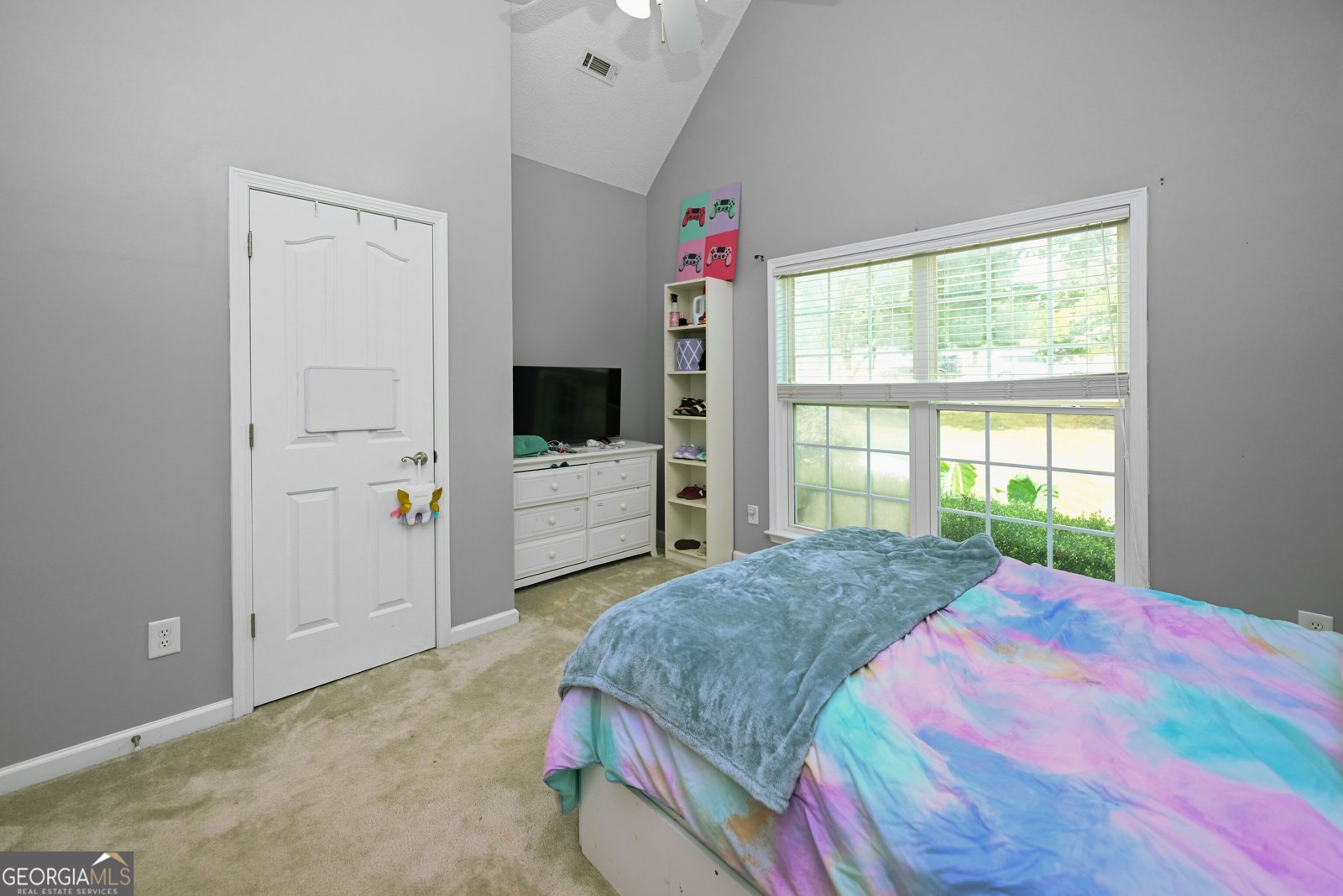 42 Meadows Lane Senoia - Photo 23