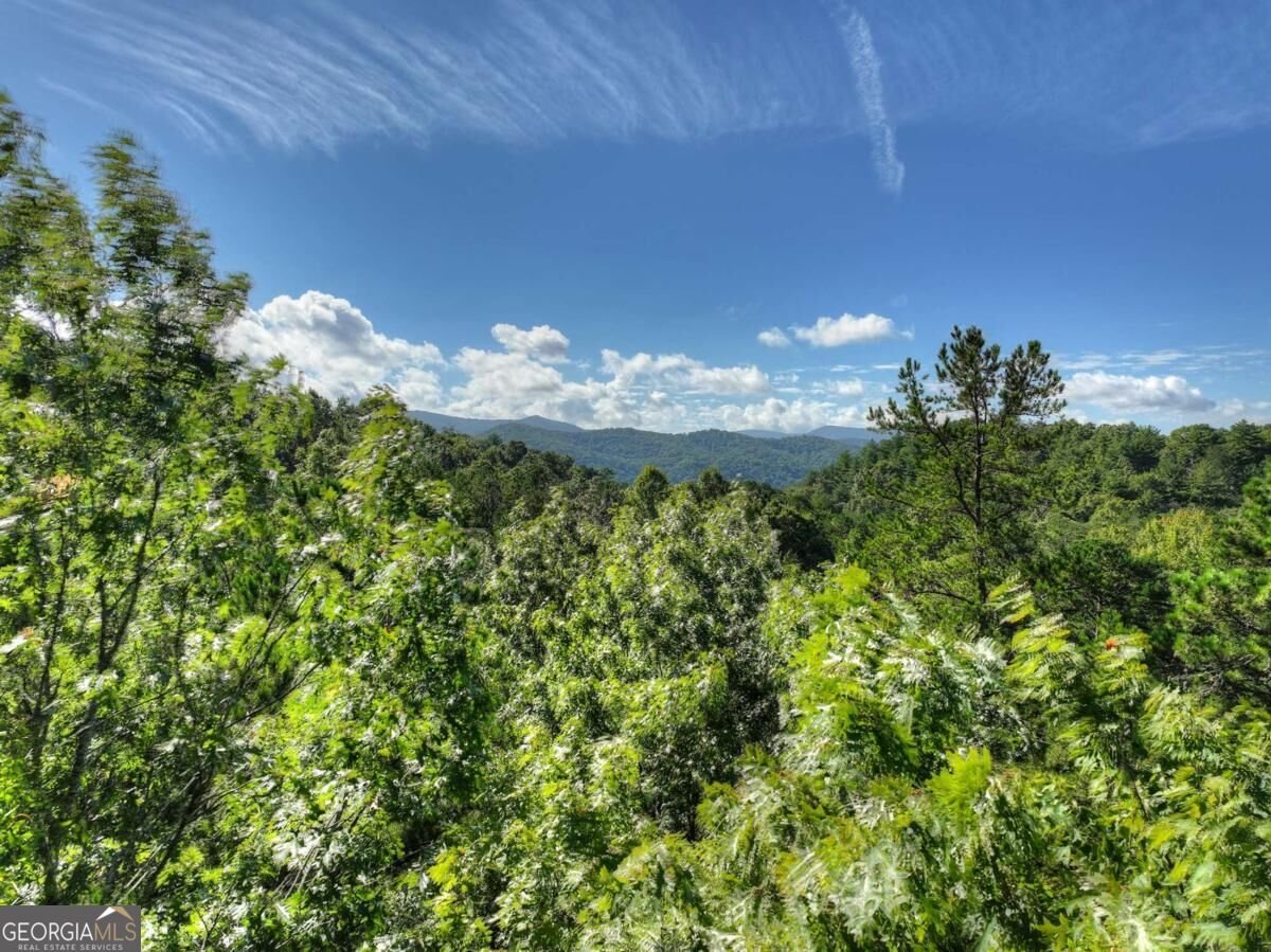 12 Dream Catcher Blue Ridge - Photo 35