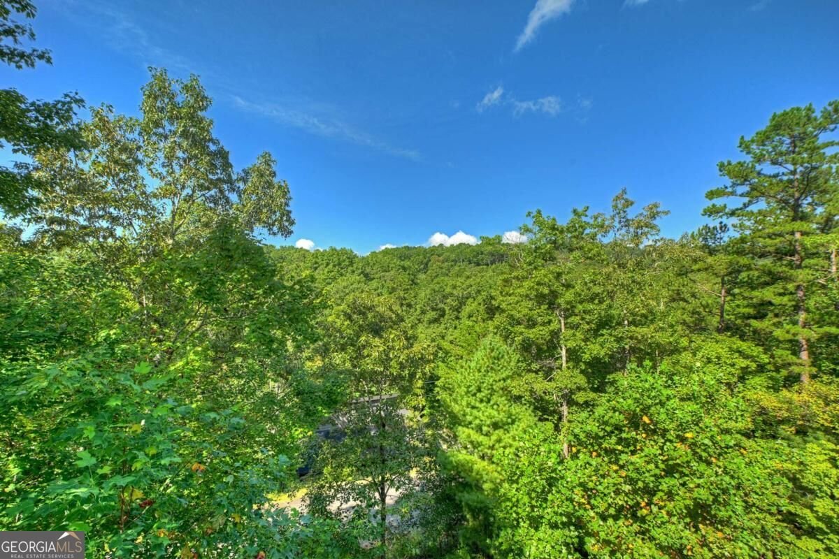 12 Dream Catcher Blue Ridge - Photo 46
