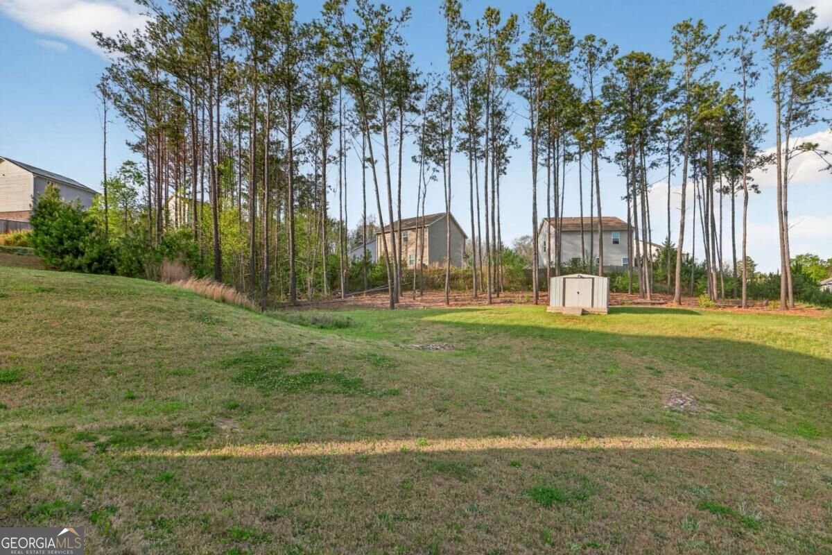 1003 Nandina Court Villa Rica - Photo 22