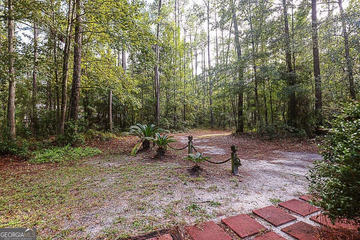 401 Noel C Conaway Road Guyton - Photo 34