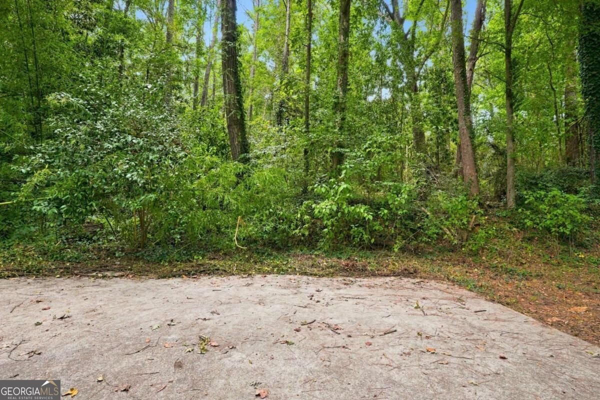 4485 Sims Road Ellenwood - Photo 25