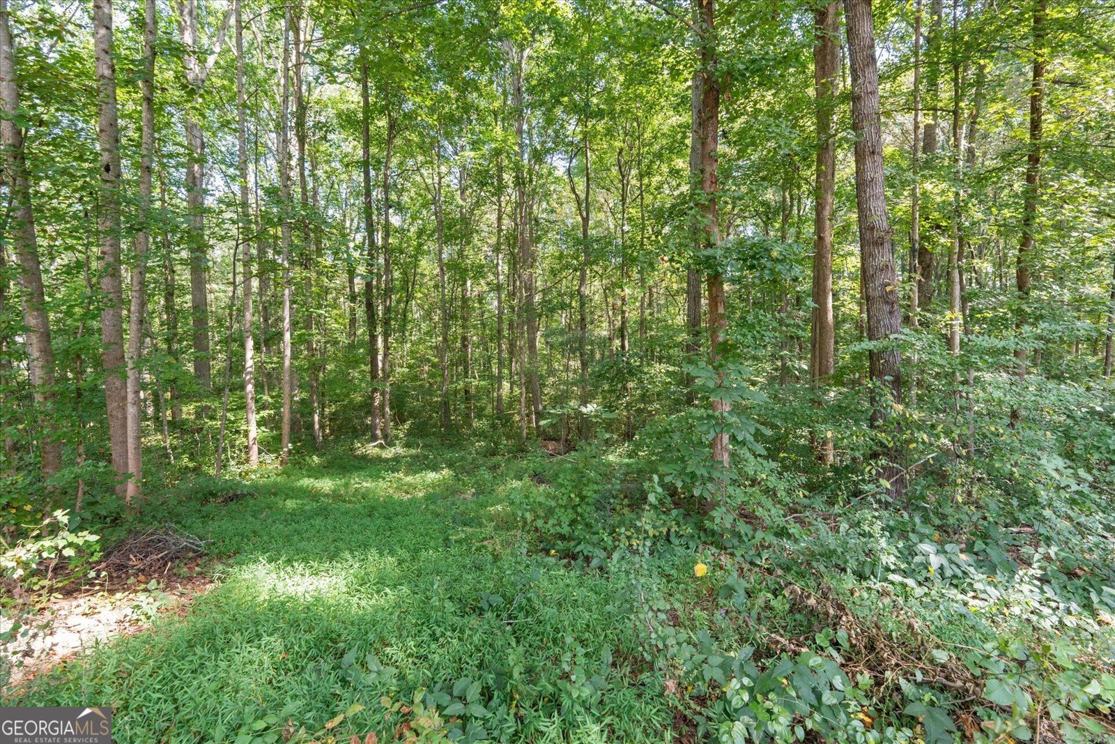 356 Waterway Trail Powder Springs - Photo 33