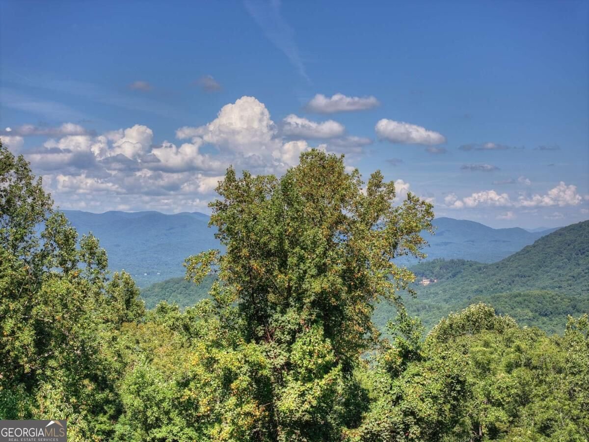 917 Walnut Ridge Ellijay - Photo 44