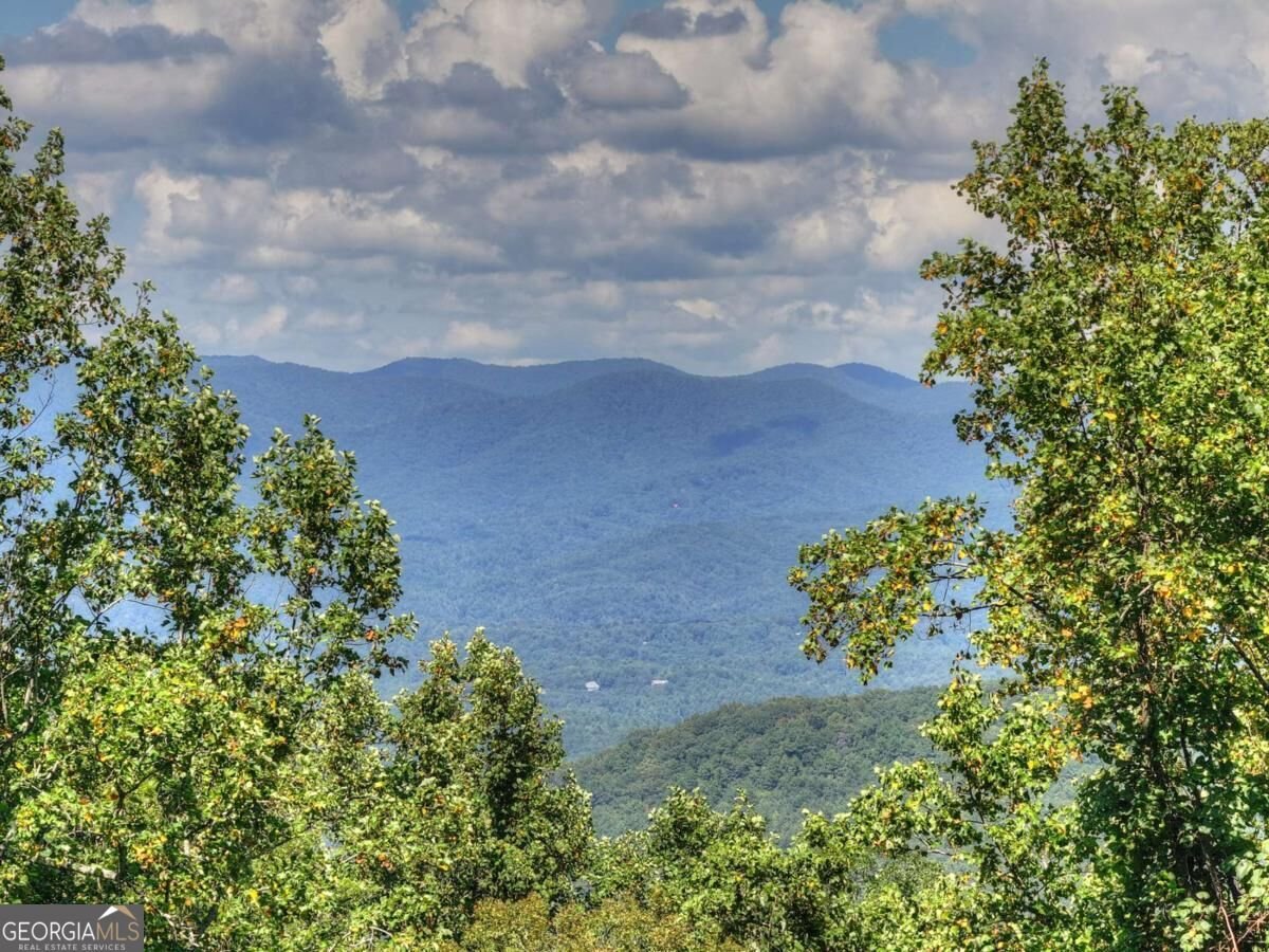 917 Walnut Ridge Ellijay - Photo 45