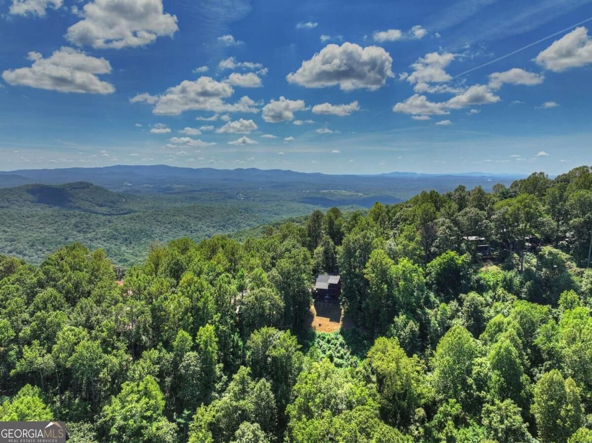 917 Walnut Ridge Ellijay - Photo 47