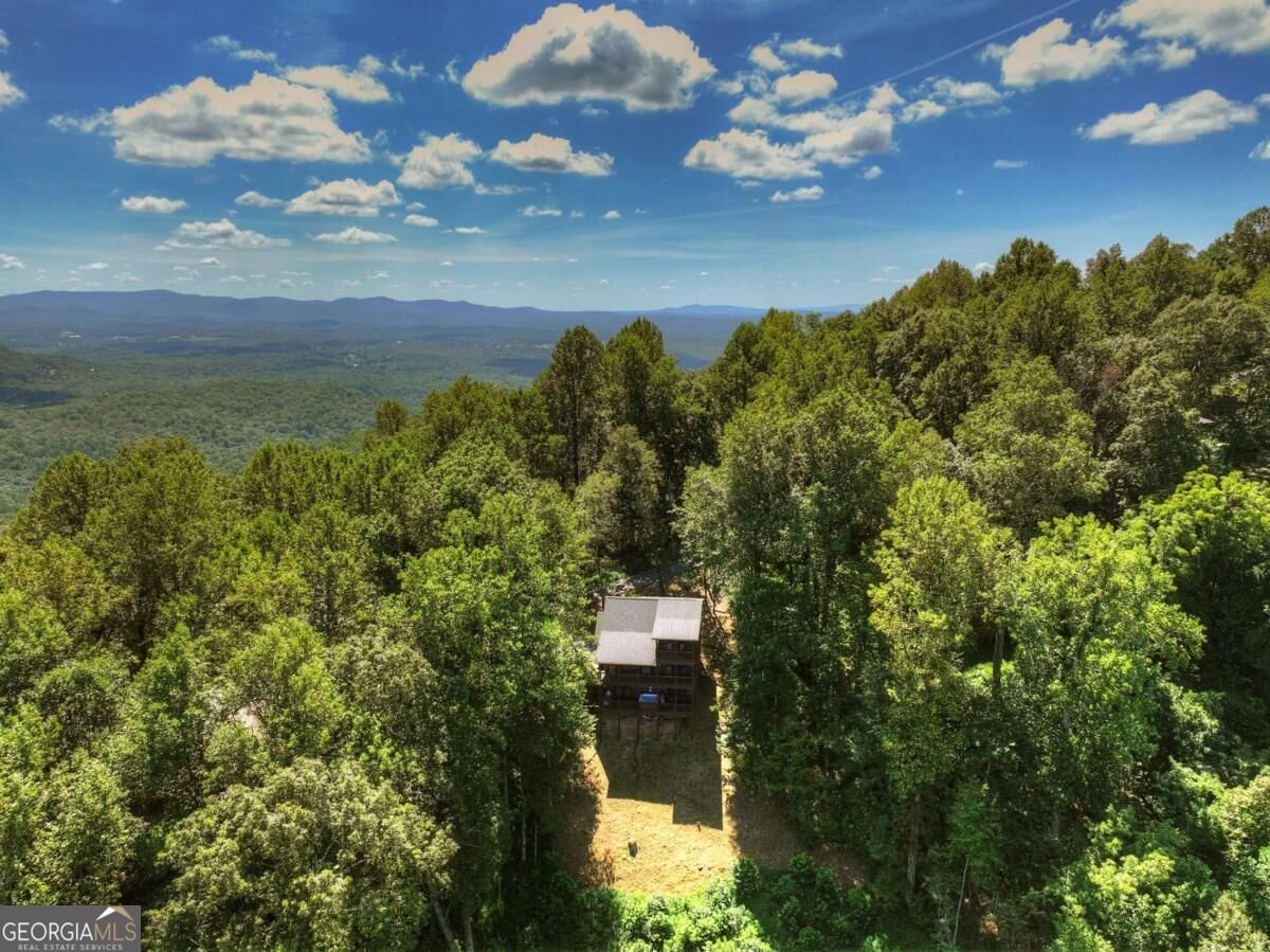917 Walnut Ridge Ellijay - Photo 48