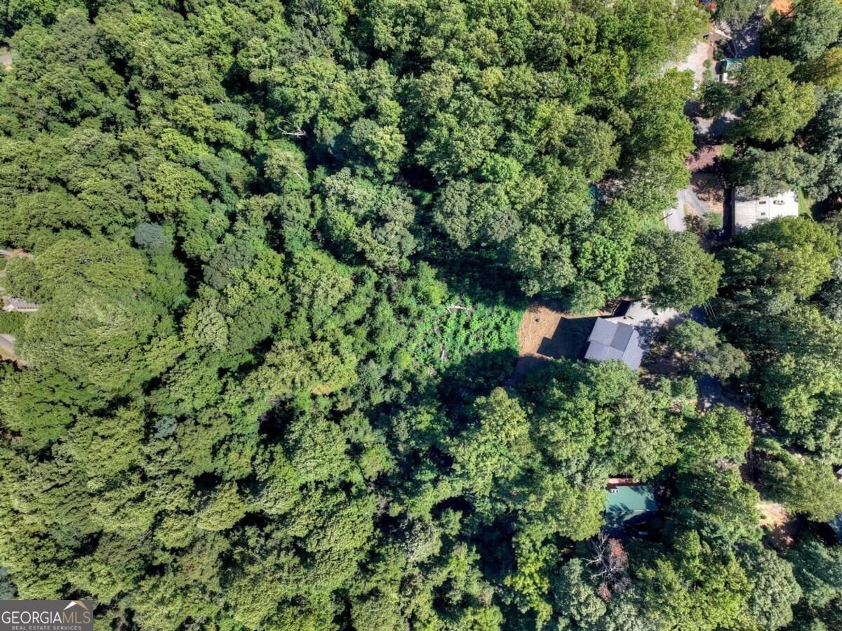 917 Walnut Ridge Ellijay - Photo 49