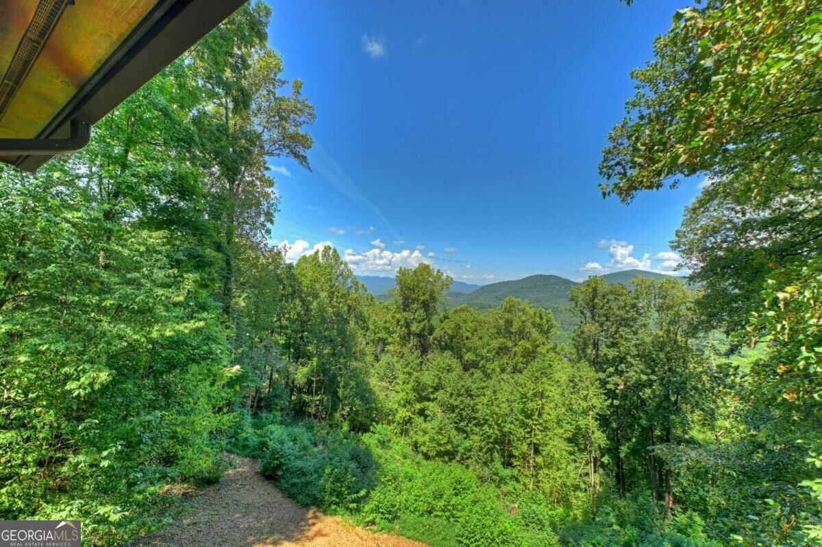 917 Walnut Ridge Ellijay - Photo 51