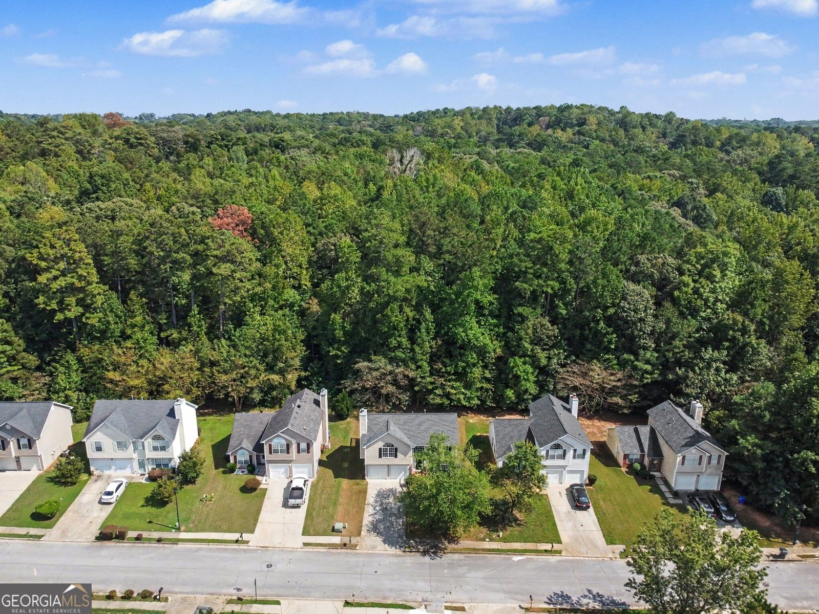 3220 Diamond Bluff Union City - Photo 33