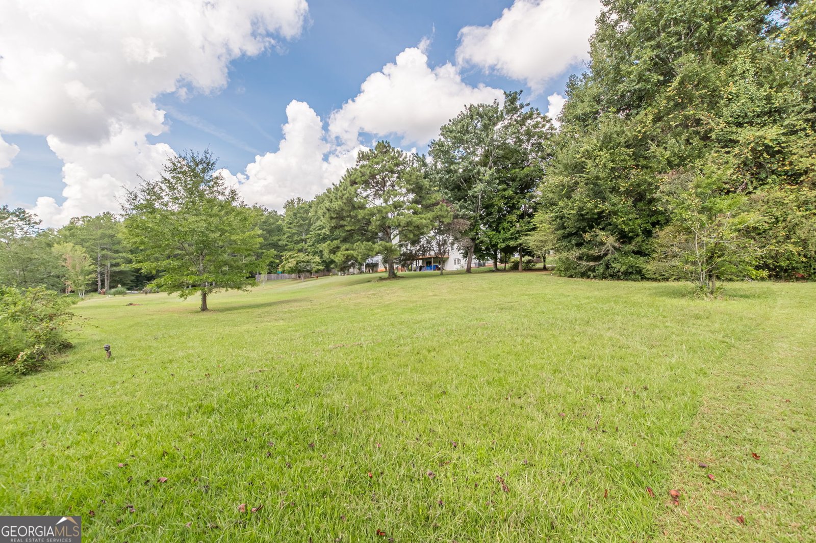 170 Lakeview Lane Hiram - Photo 70