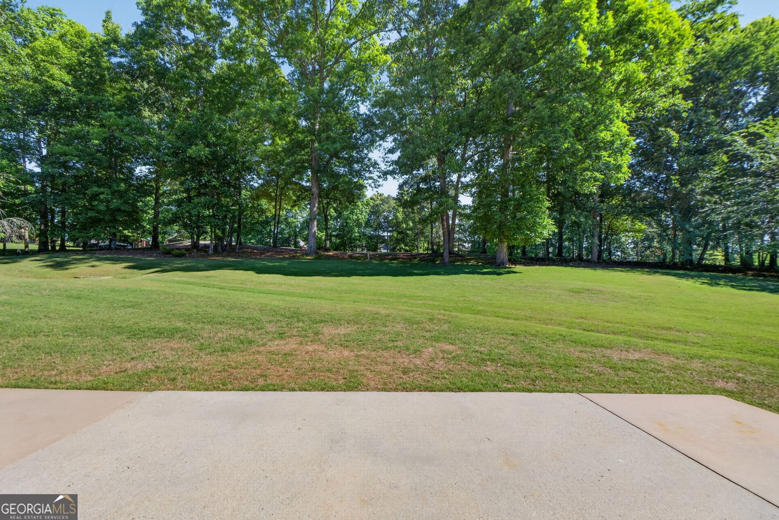 1625 Lake Dow Road McDonough - Photo 40