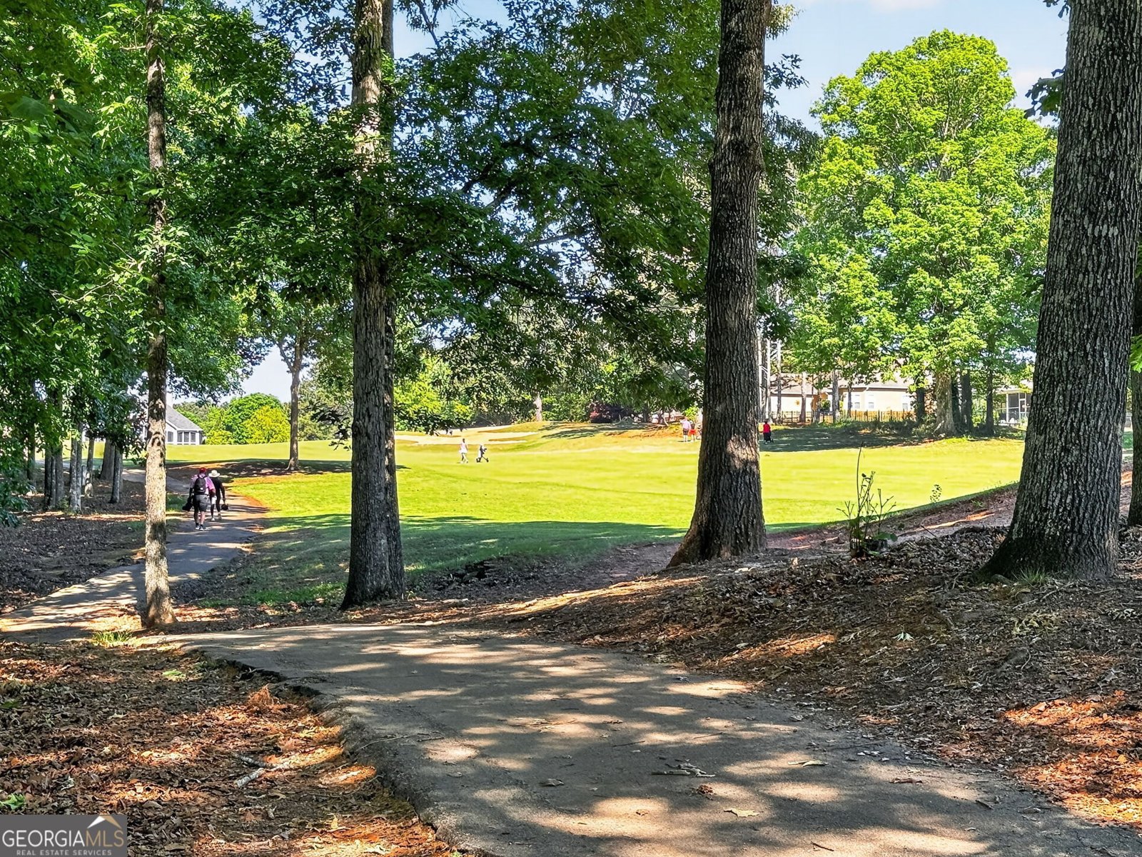 1625 Lake Dow Road McDonough - Photo 41