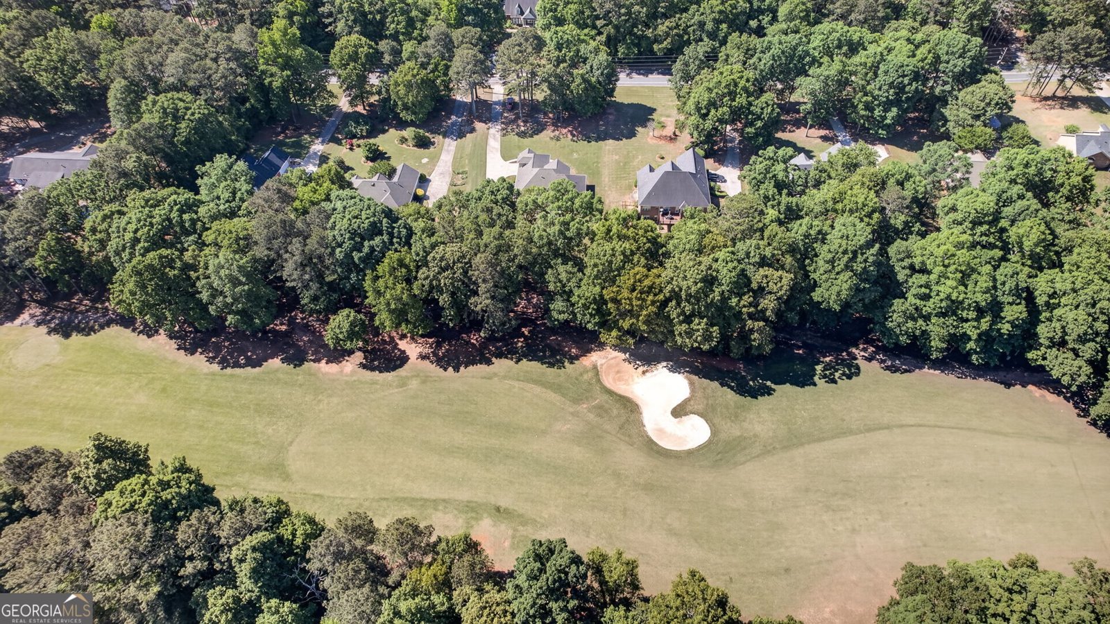 1625 Lake Dow Road McDonough - Photo 46