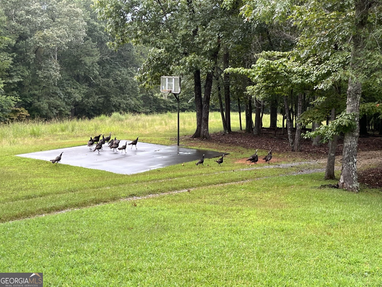 7400 Banks Mill Road Douglasville - Photo 38