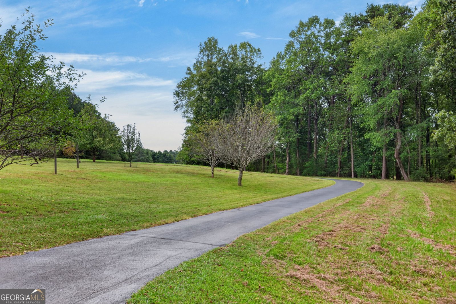 7400 Banks Mill Road Douglasville - Photo 50