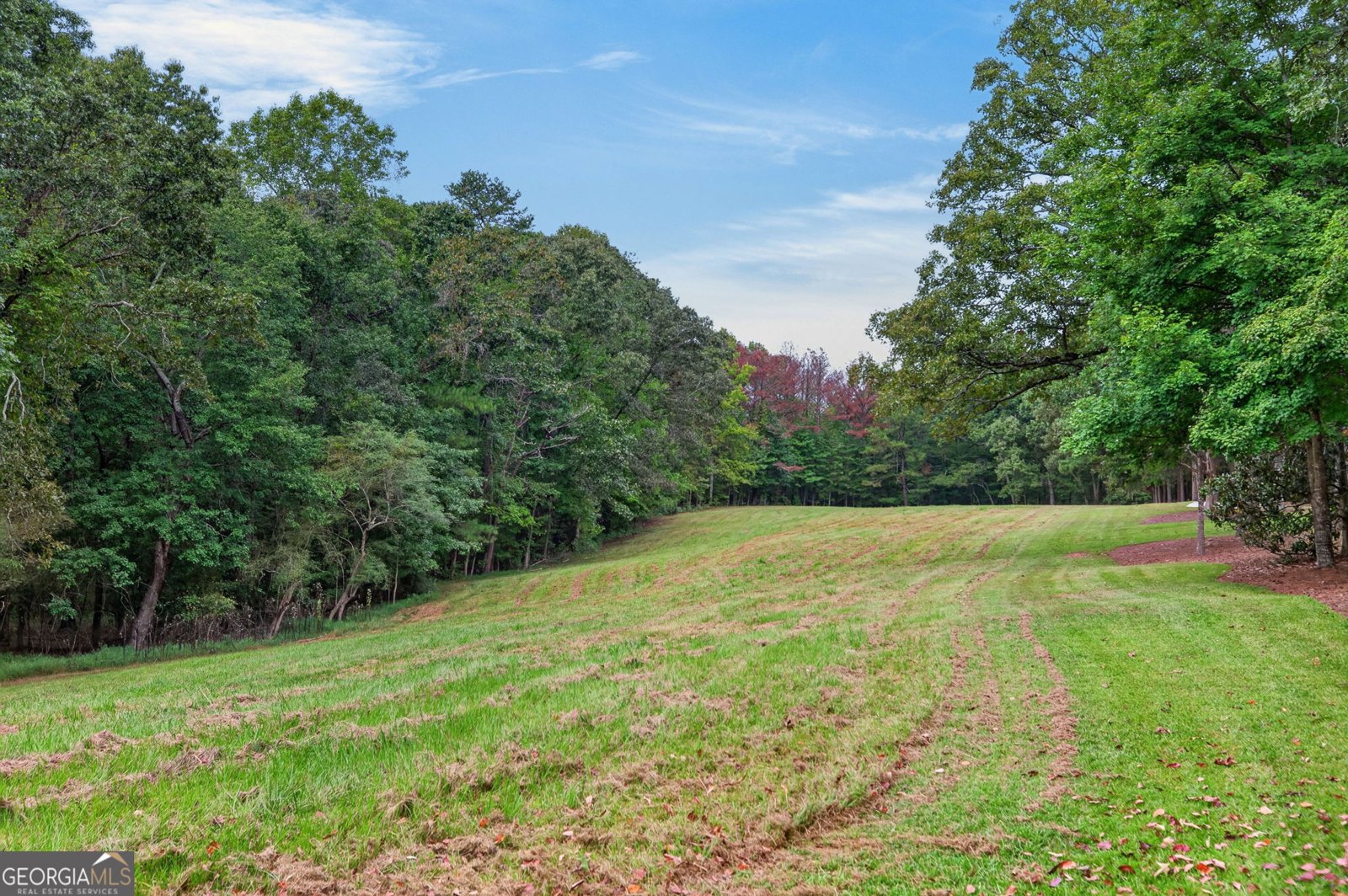 7400 Banks Mill Road Douglasville - Photo 51