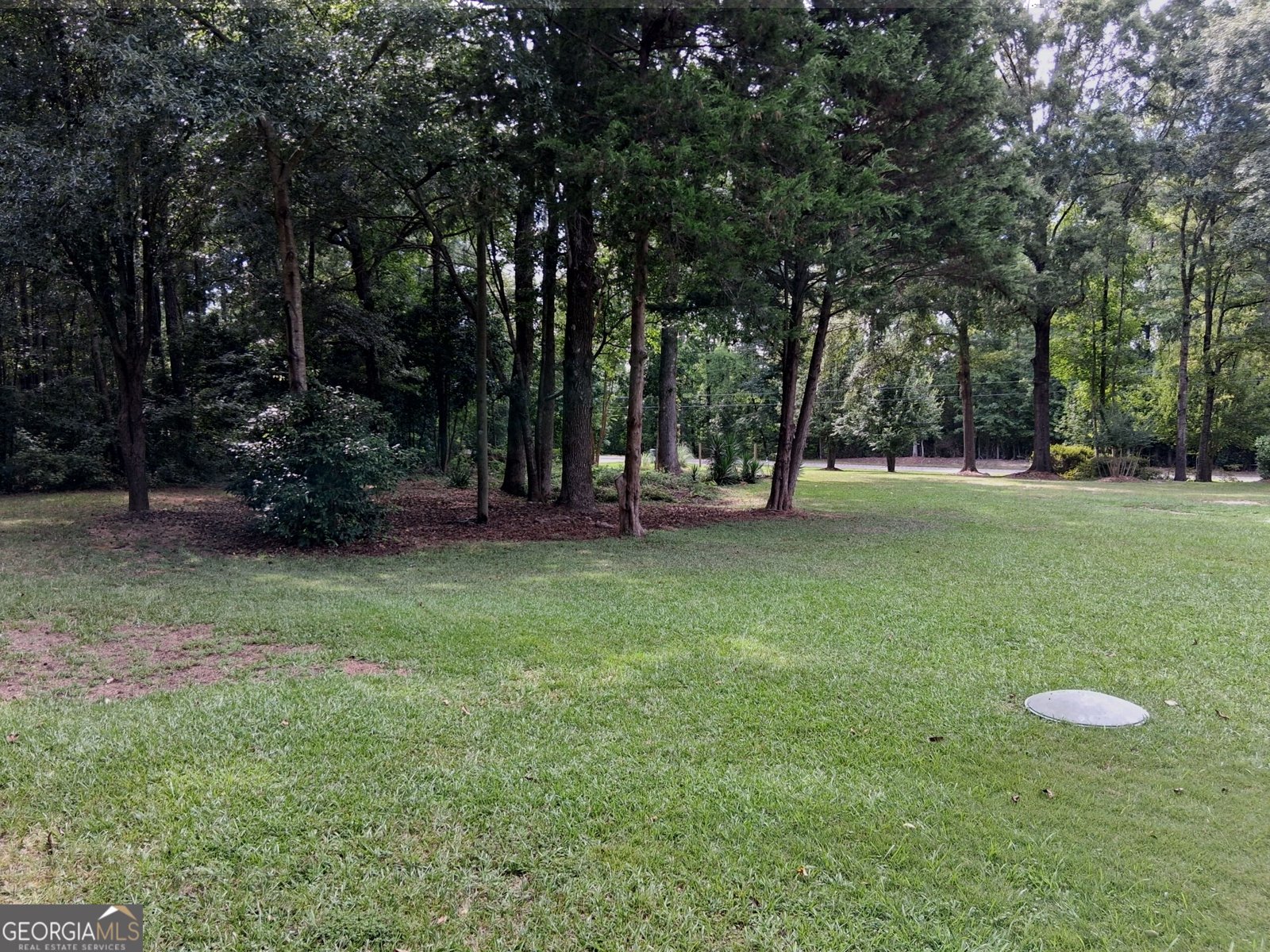 6599 Ga Highway 42 Forsyth - Photo 33