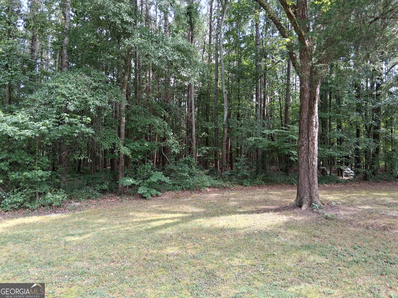 6599 Ga Highway 42 Forsyth - Photo 34