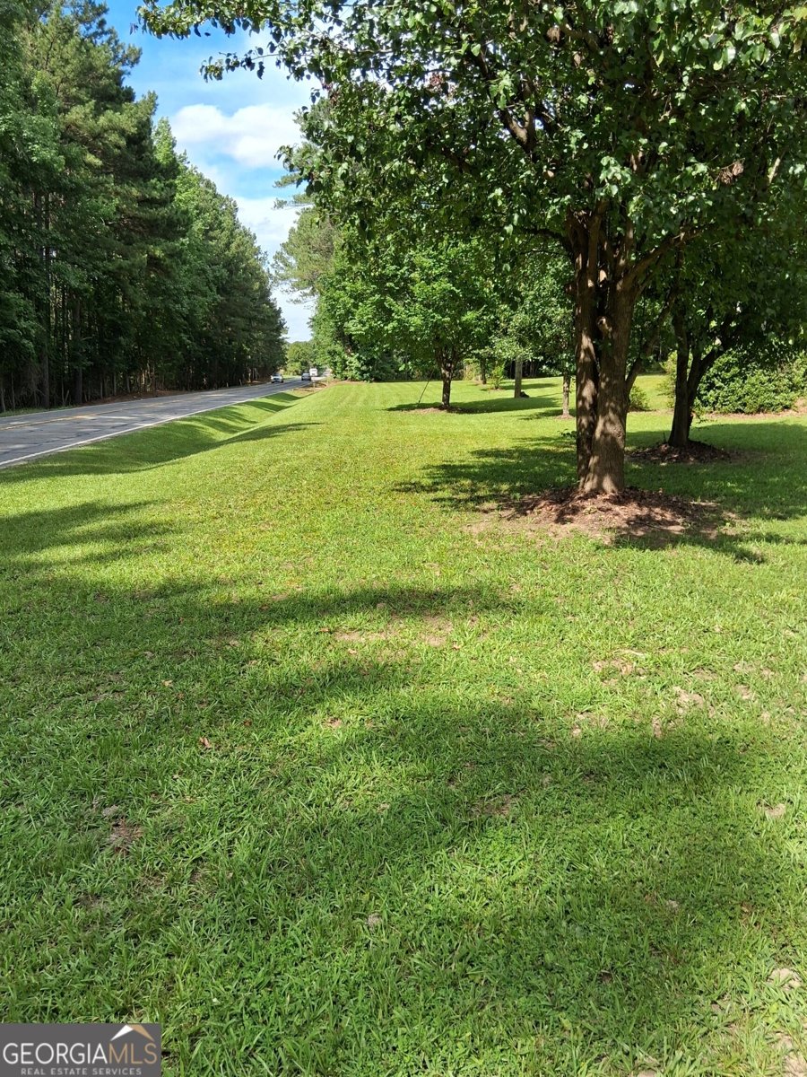 6599 Ga Highway 42 Forsyth - Photo 8