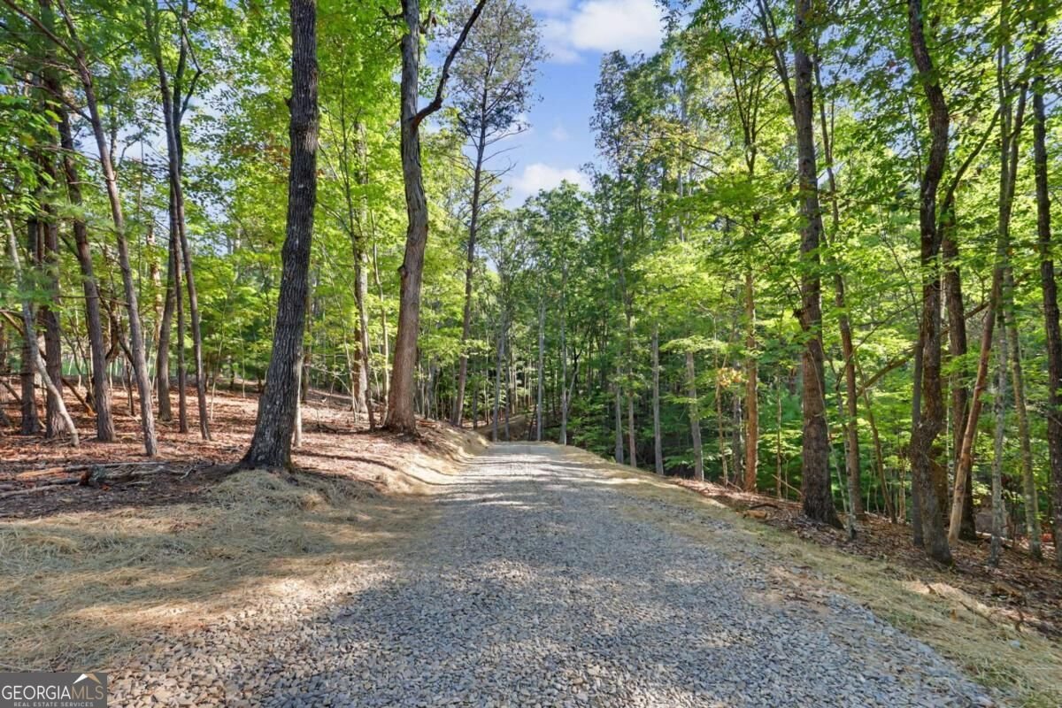 48 Woodleaf Road Morganton - Photo 53