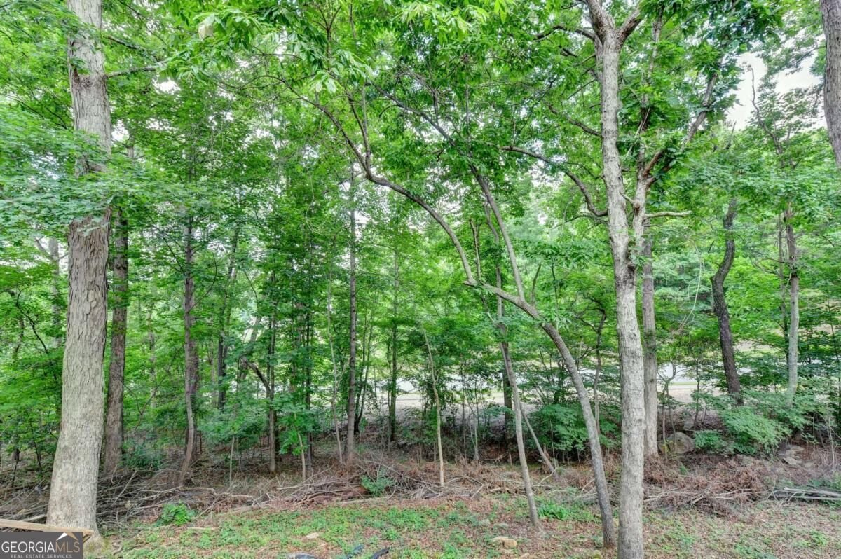 3545 Sentry View Trace Suwanee - Photo 61