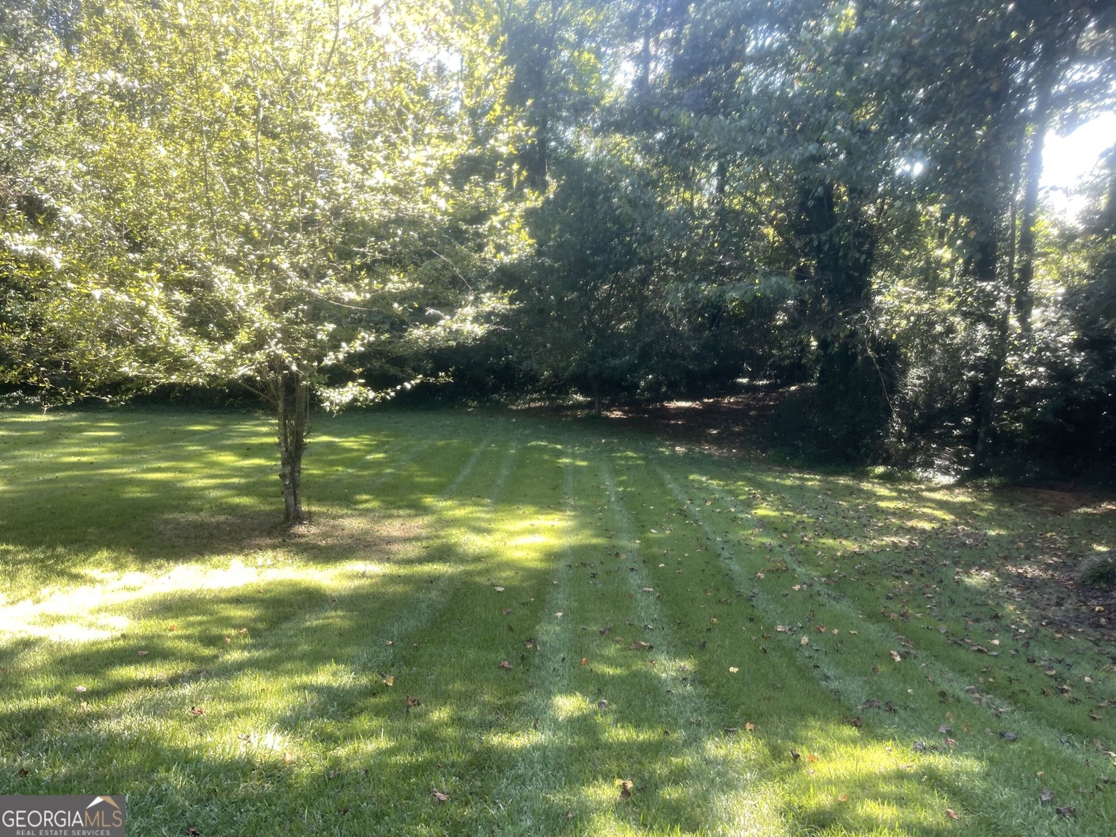 6701 Cowan Mill Road Winston - Photo 8