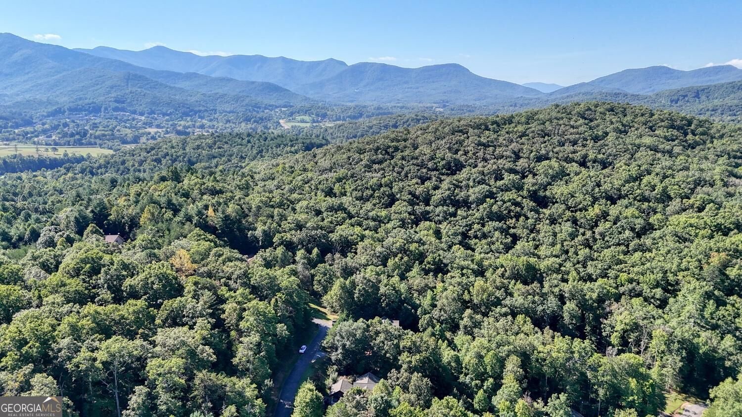 6132 Ruth Drive Young Harris - Photo 52
