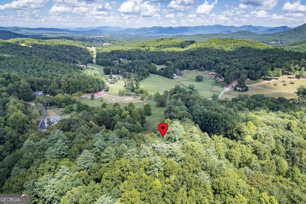 78 Diamond Drive Blairsville - Photo 19