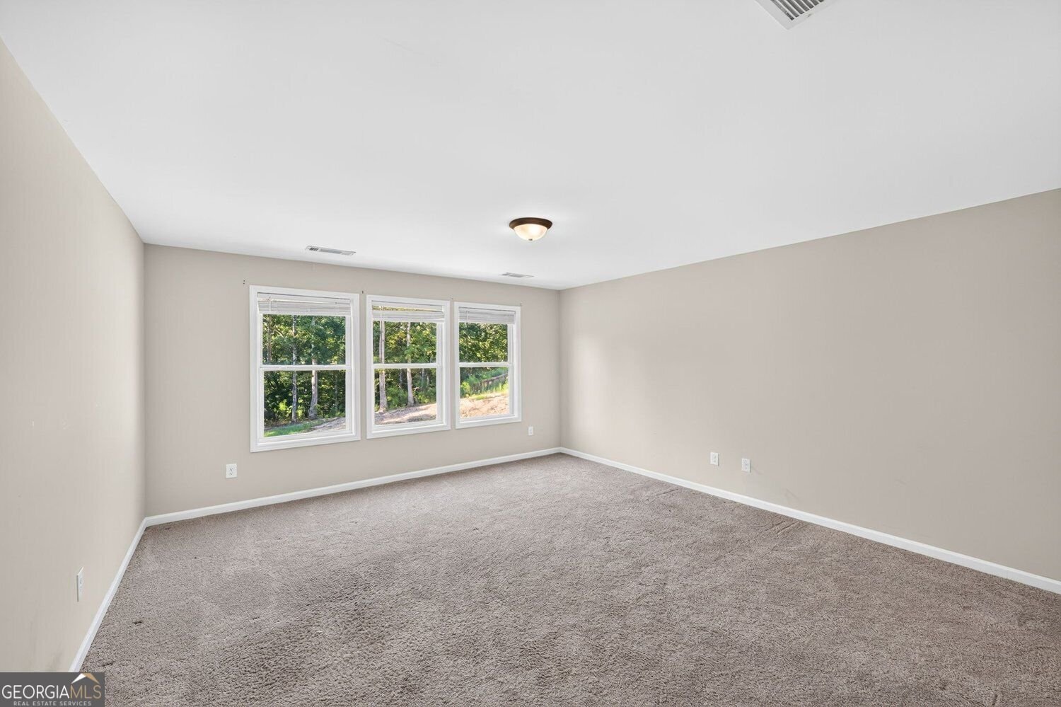 358 Mulberry Road Winder - Photo 28