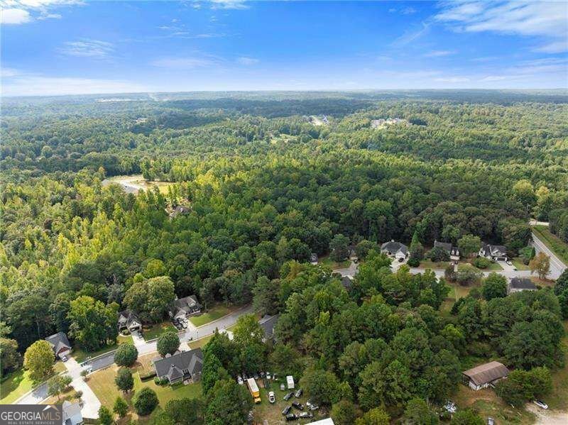 4552 Mulberry Fields Lane Auburn - Photo 60