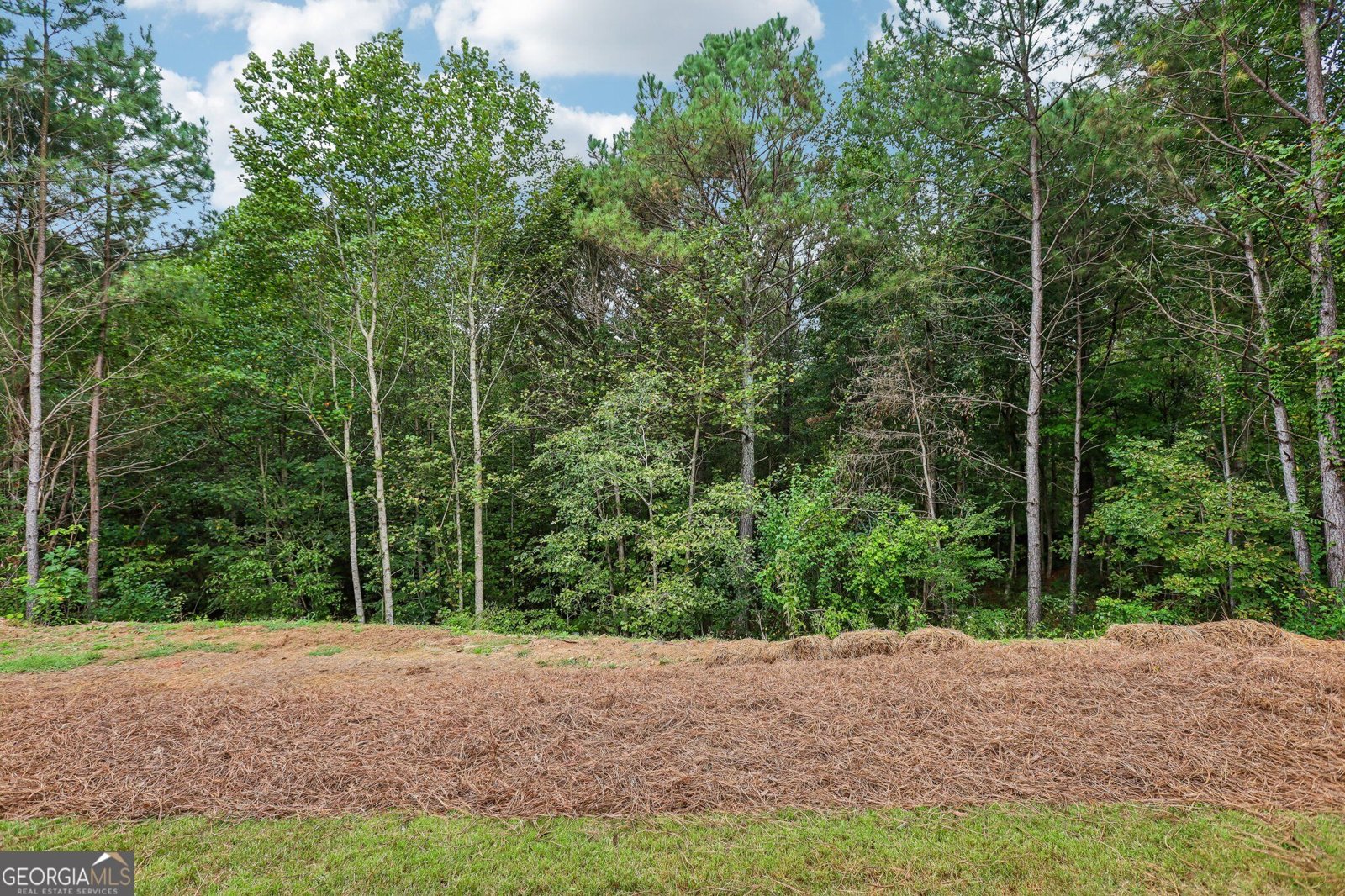 179 Ambrose Drive Jasper - Photo 26