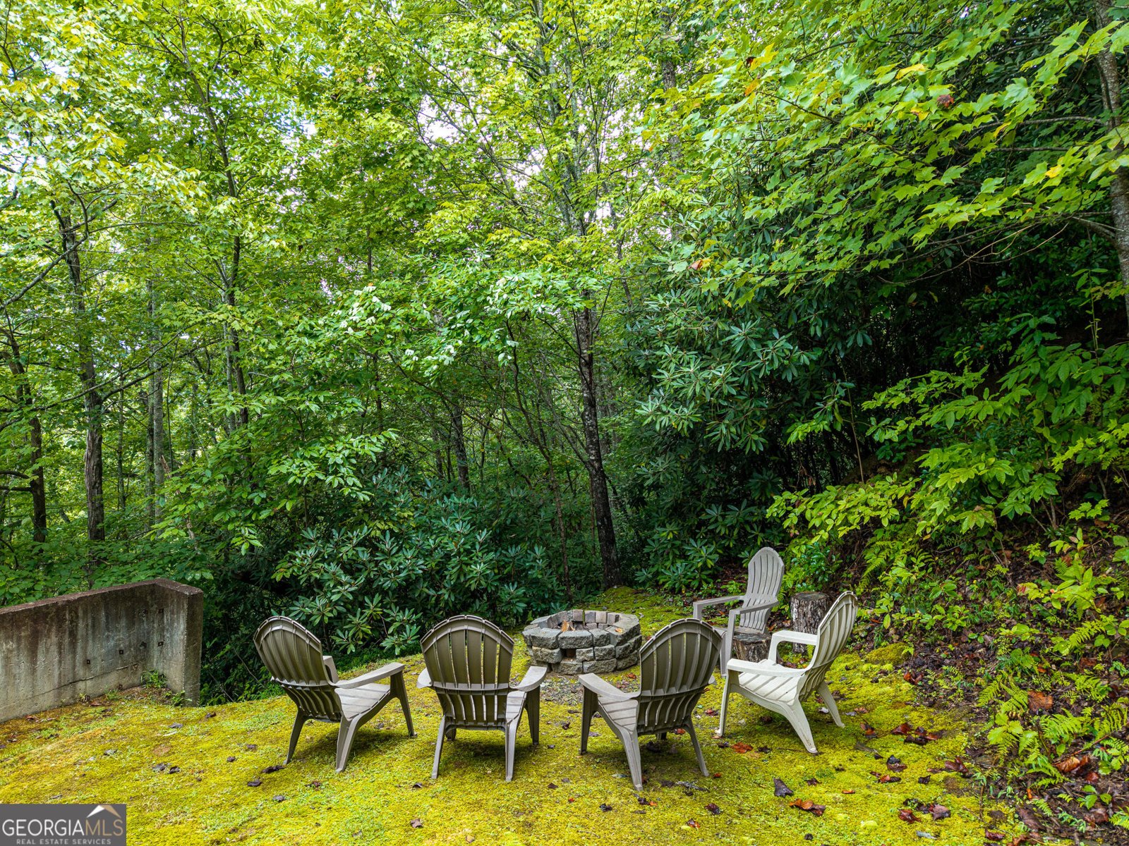 624 Rhonda Lane Mineral Bluff - Photo 10