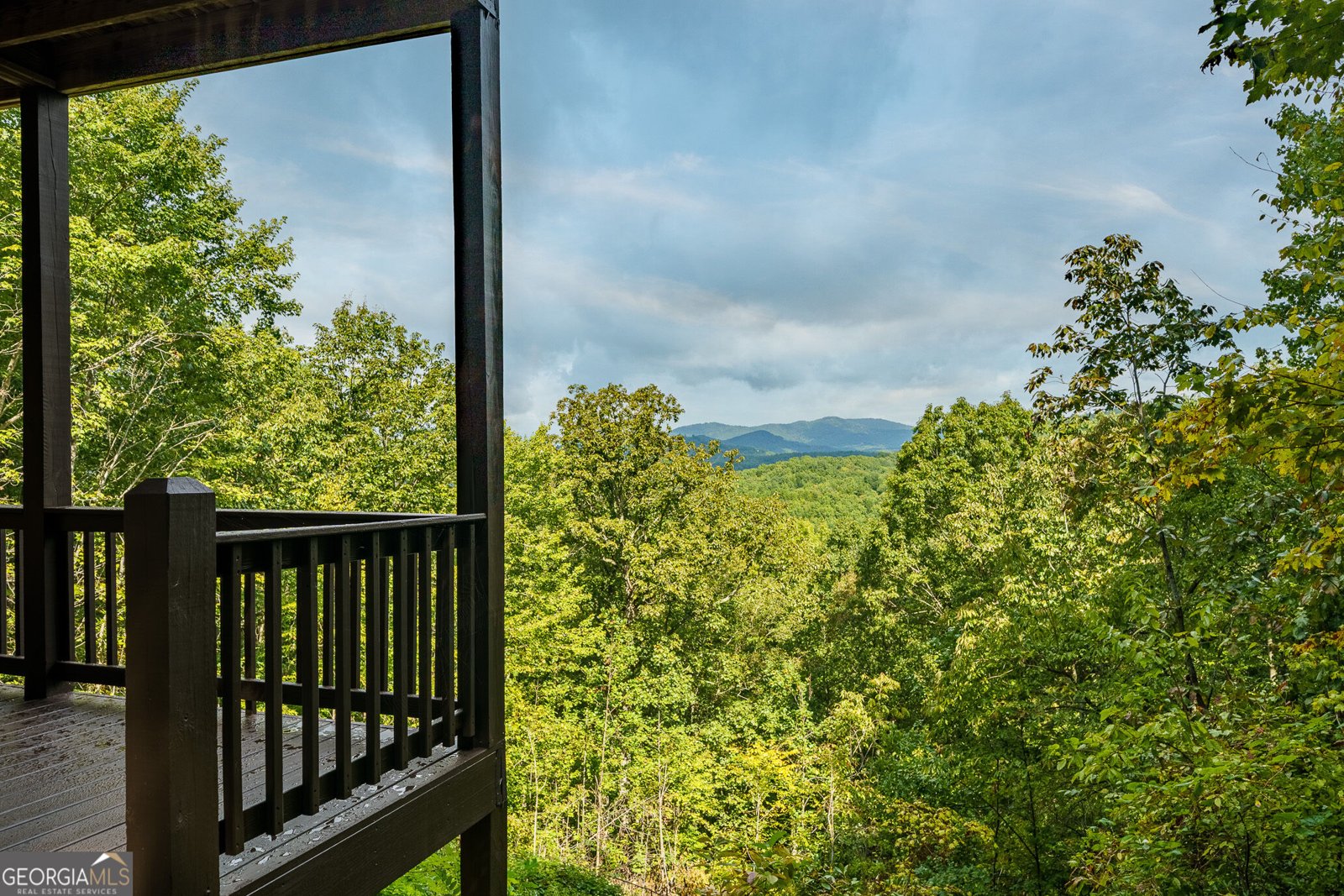 624 Rhonda Lane Mineral Bluff - Photo 12
