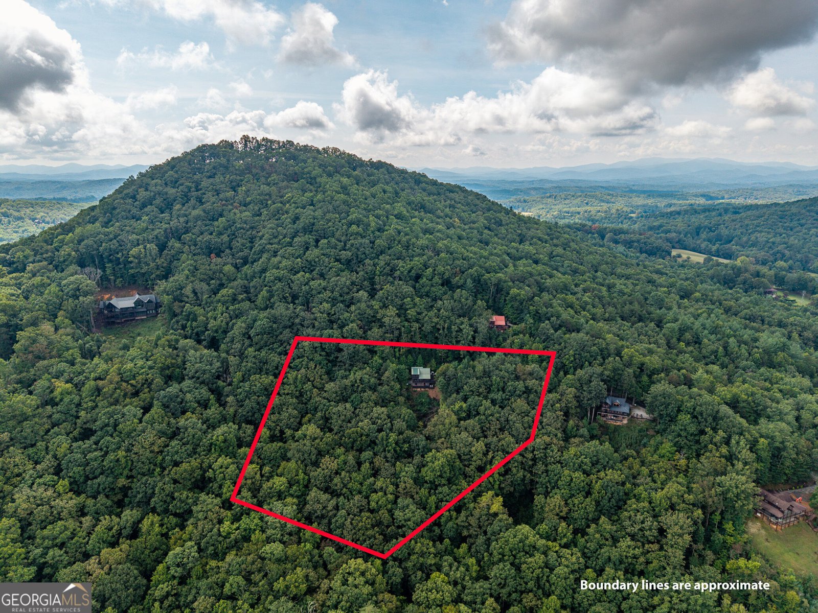 624 Rhonda Lane Mineral Bluff - Photo 19