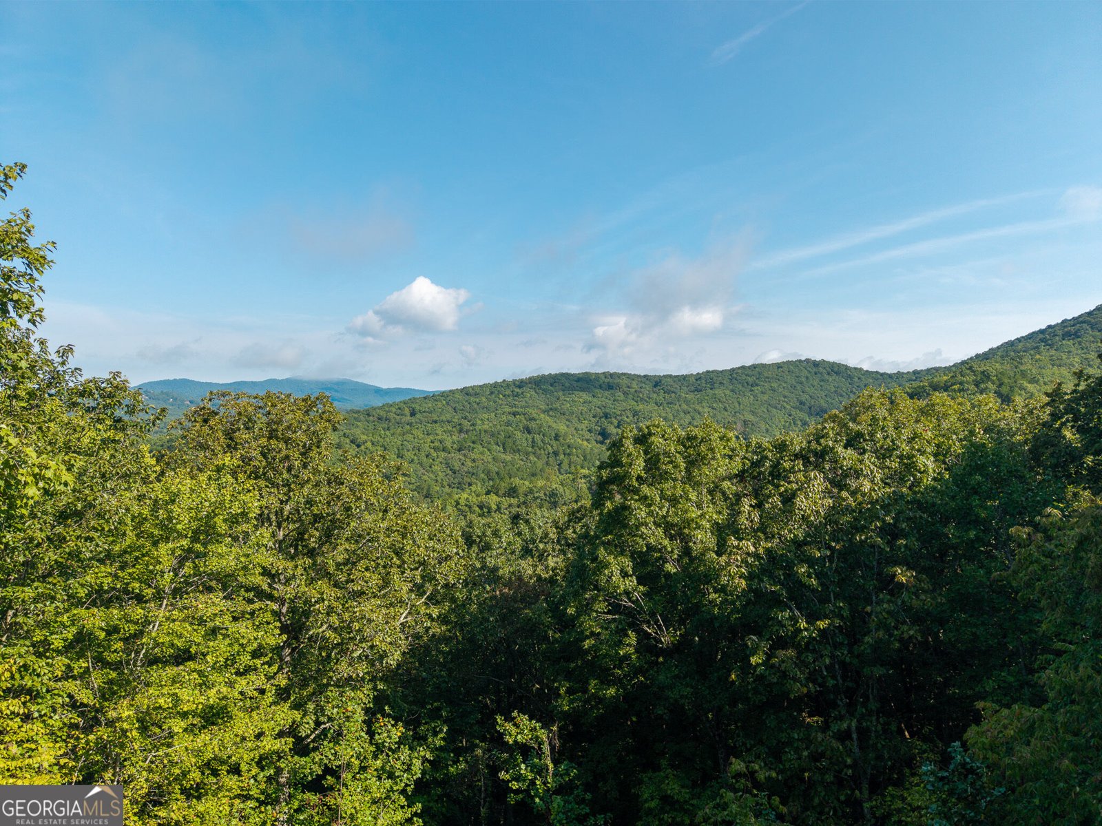 624 Rhonda Lane Mineral Bluff - Photo 8