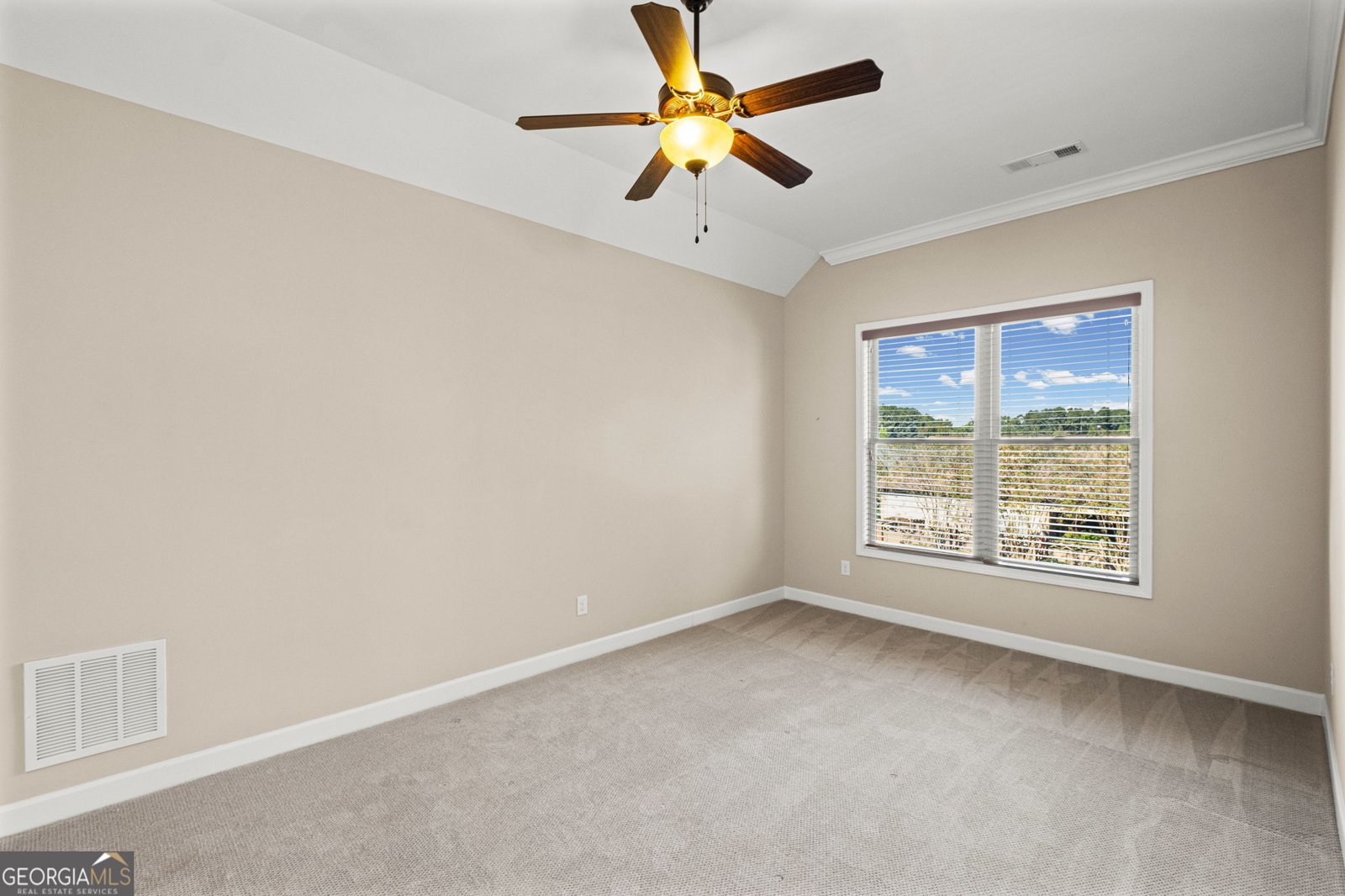 173 Cadence Trail Canton - Photo 37