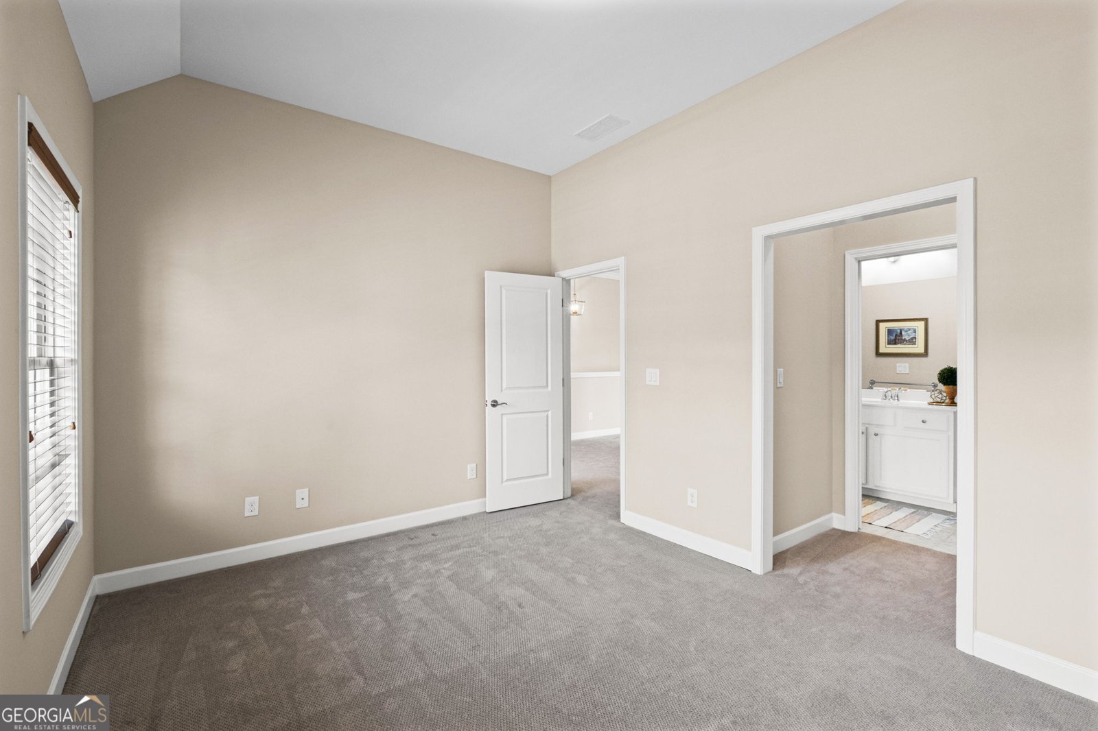 173 Cadence Trail Canton - Photo 41