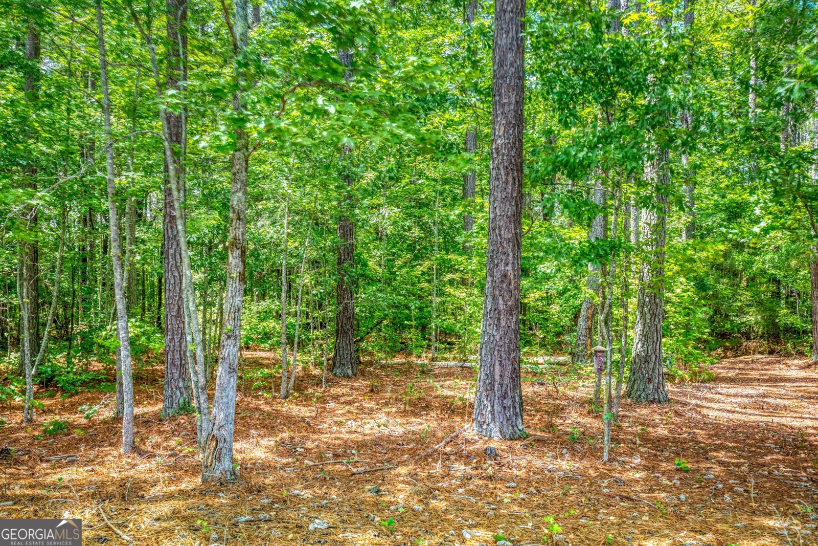 2529 Shockley Springs Drive Monroe - Photo 41