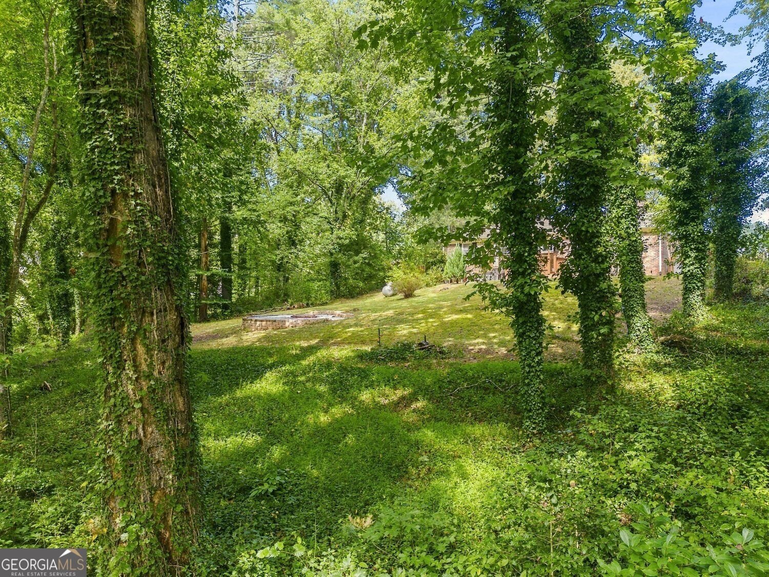 1007 US-76 Clayton - Photo 48