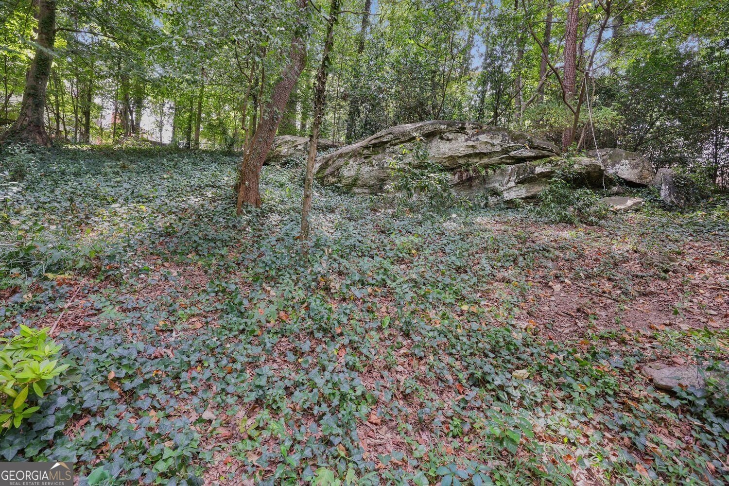 2245 Winding Woods Drive Tucker - Photo 56