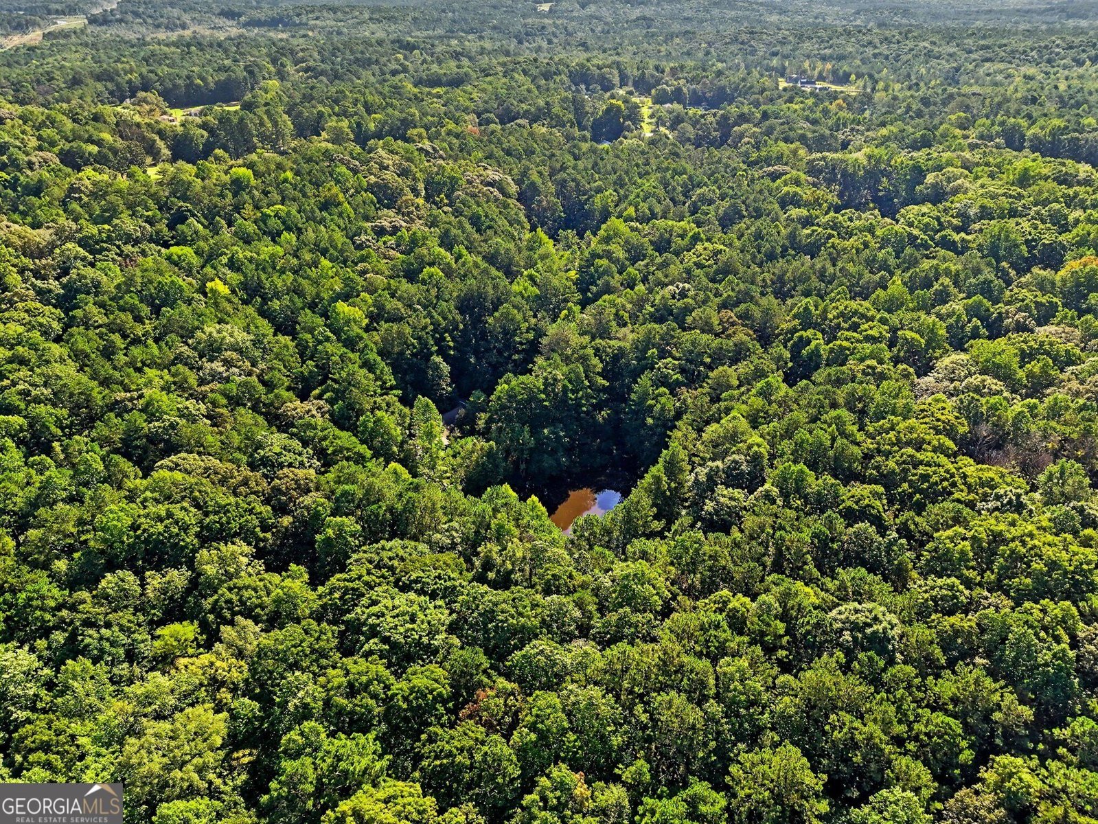 2810 Roscoe Road Newnan - Photo 8