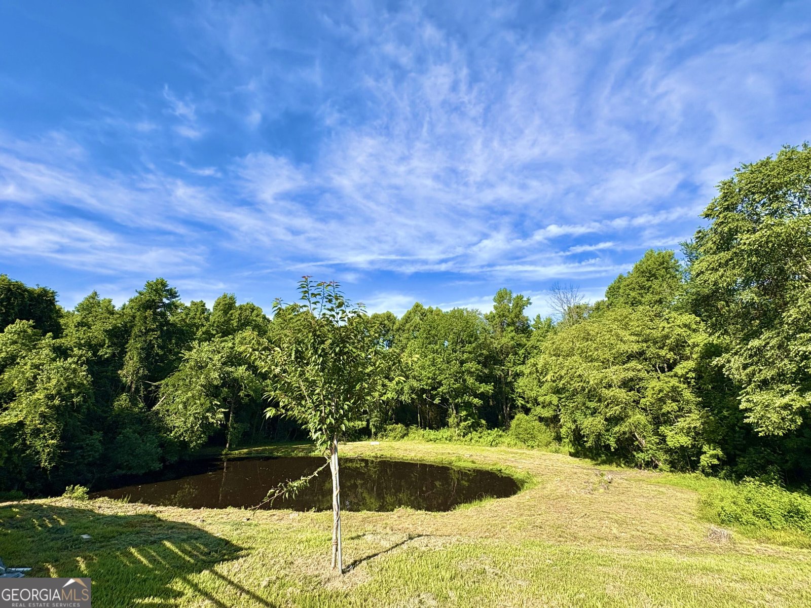 1842 Williamson Road Macon - Photo 10